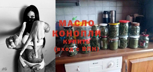 дурь Инта
